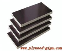 文安縣防水模板長春工地大量使用