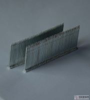 金祖鋼排釘、金祖汽排釘、金祖碼釘