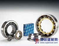 日本NSK角接觸球軸承廣州NSK進(jìn)口軸承代理商