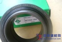 PAPZ2224-P10軸承INA襯套軸承