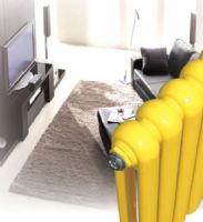 國(guó)華暖業(yè)散熱器扁圓管50圓片頭