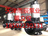 天津雨辰大流量高揚程不銹鋼潛水排污泵生產(chǎn)廠家