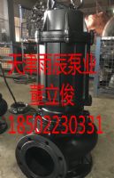 天津雨辰泵業(yè)經(jīng)營大流量高揚程不銹鋼深井泵廠家