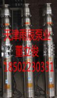 天津雨辰泵業(yè)經(jīng)營大流量高揚(yáng)程不銹鋼高山提水泵