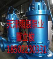 天津雨辰泵業(yè)生產(chǎn)大流量高揚程不銹鋼礦用潛水泵