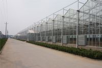 溫室陽光板8mm、10mm陽光板價格