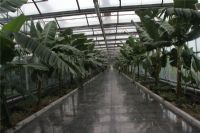 溫室陽光板8mm、10mm陽光板價格湖藍