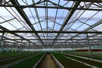 溫室陽光板8mm、10mm陽光板價格7年板