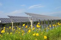 海灘光伏支架修補用帶銹防腐蝕涂料姆林M9010單組分