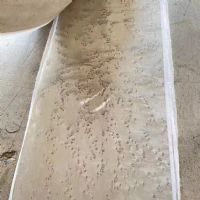 天然染色雀眼木皮高端整木飾面板批發(fā)UV涂裝板科定實(shí)木皮護(hù)墻板